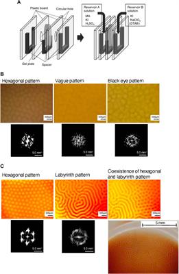 Theory of Turing pattern formation and its experimental realization in the CIMA reaction system in the presence of materials lowering the diffusivity of activators